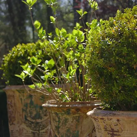 So Touquet Bed and Breakfast Le Touquet