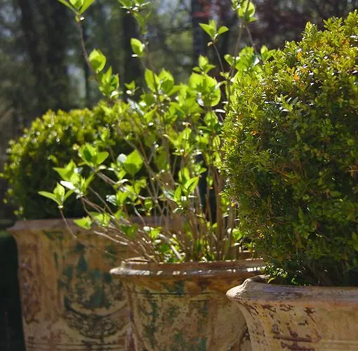 So Touquet فندق مبيت وإفطار Le Touquet